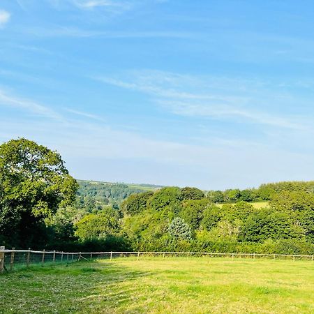 1 Bedroom Holiday Let In The Heart Of West Wales Carmarthen Eksteriør billede