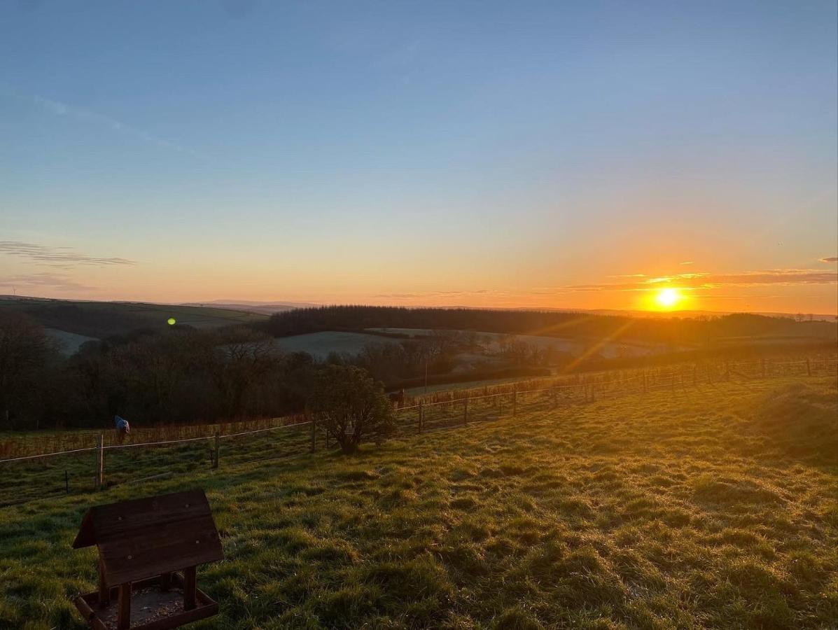 1 Bedroom Holiday Let In The Heart Of West Wales Carmarthen Eksteriør billede