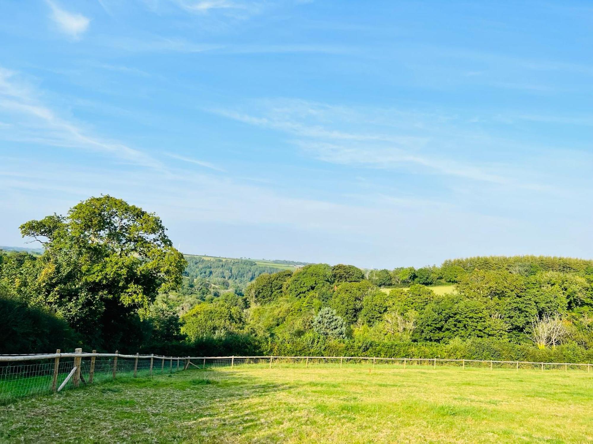 1 Bedroom Holiday Let In The Heart Of West Wales Carmarthen Eksteriør billede